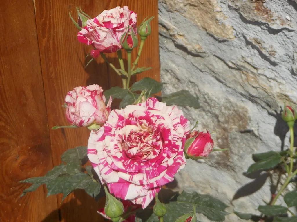 Agriturismo Nona Rosa Gravedona Farm stay